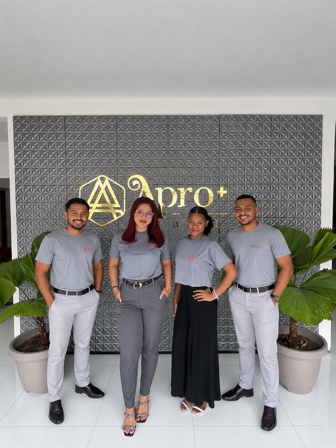 Time de profissionais Apro+ Brasil